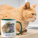 Search for cat food mugs White