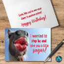 Search for animals funny horse birthday cards Cute