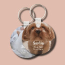 Search for pet dog accessories Simple