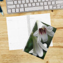 Search for trumpet photography Floral