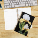 Search for iris office supplies Floral