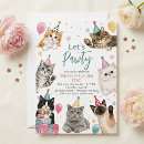 Search for cat party invitations Pawty