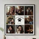 Search for pet supplies In loving memory