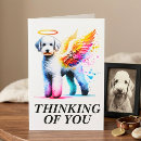 Search for rainbow bridge cards Thinking of you