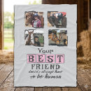 Search for horse photo blankets Pets