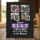 Search for horse photo blankets Pets
