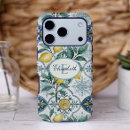 Search for azulejos iphone cases Talavera
