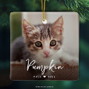 Search for loss pet memorial ornaments Cute