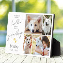 Search for christmas pet portraits Forever in our hearts