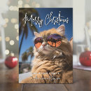 Search for large cards Picture