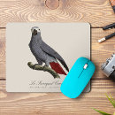 Search for erithacus Bird