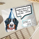 Search for berner cards Pets