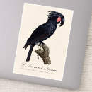 Search for goliath stickers Bird