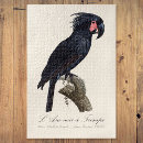Search for natural history puzzles Illustration