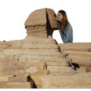 Search for egypt tomb mugs Pharaoh