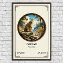 Search for puma mountain cat posters Lion