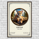 Search for puma mountain cat posters Lion