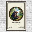 Search for chimpanzee posters Primate