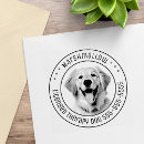 Search for golden retriever rubber stamps Pet