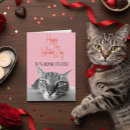 Search for funny cat valentines day cards Pet