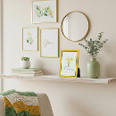 Search for kinds photo display Floral