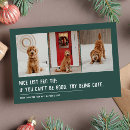 Search for three dogs cards Cute