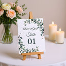 Search for eucalyptus table cards Rustic