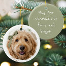 Search for dog lover christmas tree decorations Create your own