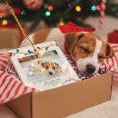 Search for puppys first christmas Colourful