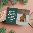 Search for cute pet photo cards Dog