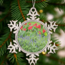 Search for scenic christmas tree decorations Photograph