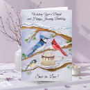 Search for backyard birds cards Blue jay