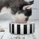 Search for black and white striped dog supplies Cute