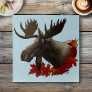 Search for moose puzzles Wildlife