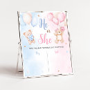 Search for gender reveal signs Teddy bear