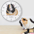 Search for guinea pig clocks Animals