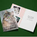Search for paw prints christmas cards Happy howlidays
