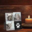 Search for photo pet memorials Cute