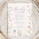Search for baby in bloom Greenery