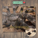 Search for spider web puzzles Arachnid