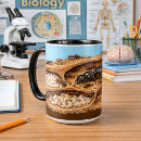 Search for ants mugs Biology