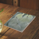 Search for agave tiles Cacti