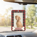 Search for animal accessory car interior car accessories For pets