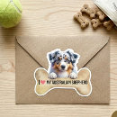 Search for australian shepherd puppy stickers Cute