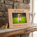 Search for pet picture frames Sympathy