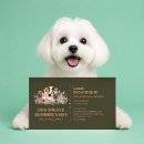 Search for walking business cards Dog walking service