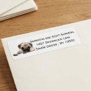 Search for pug return address labels Watercolor