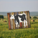 Search for holstein postcards Black and white cow