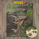 Search for logs puzzles Nature