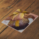 Search for yellow iris Floral